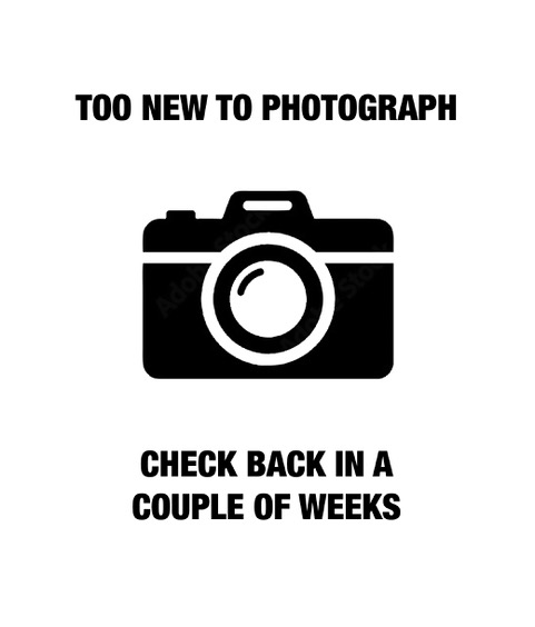 Bottle Jack Air/Manual 20,000kg